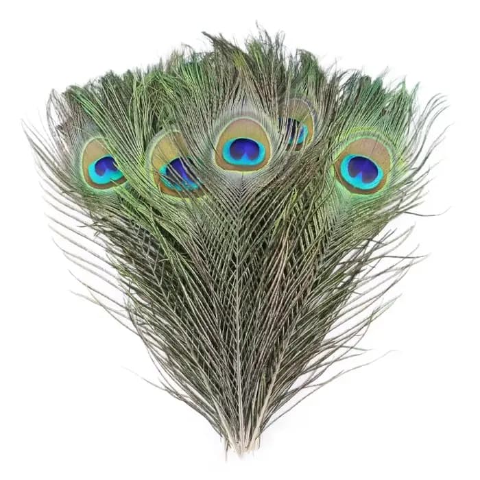Plumes de paon naturelles pour artisanat DIY, décoration de vase, décoration de la maison, décoratio