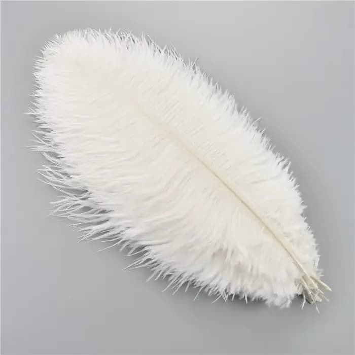 Plumes d'autruche colorées pour artisanat, décoration de mariage, accessoires artisanaux, centres de