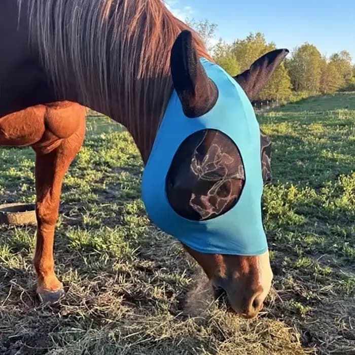 ‌ Masque anti-mouche de cheval de Protection UV, maille respirante réglable pour l'équitation, équip