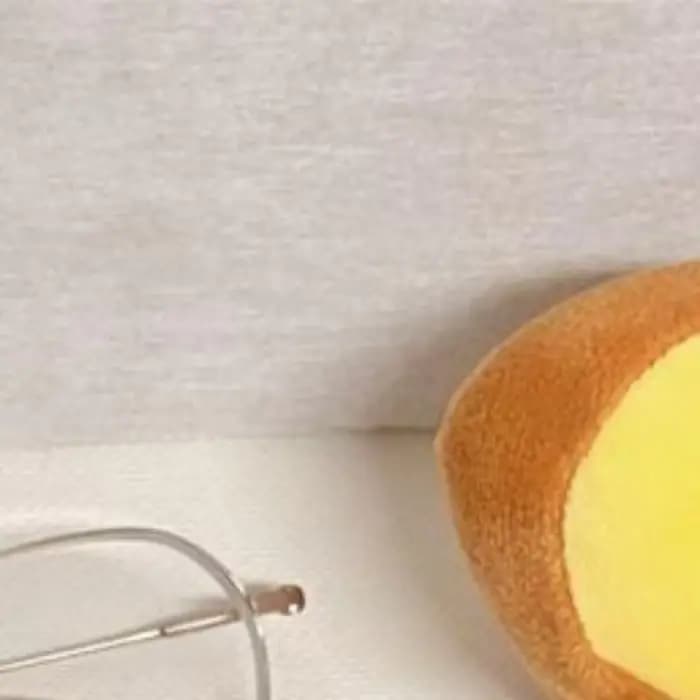 Étui à lunettes en peluche ours, étui à lunettes de soleil dessin animé, organisateur de lunettes mi
