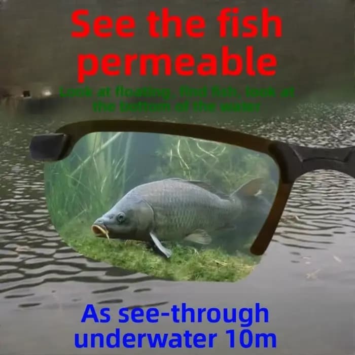 Lunettes polarisées