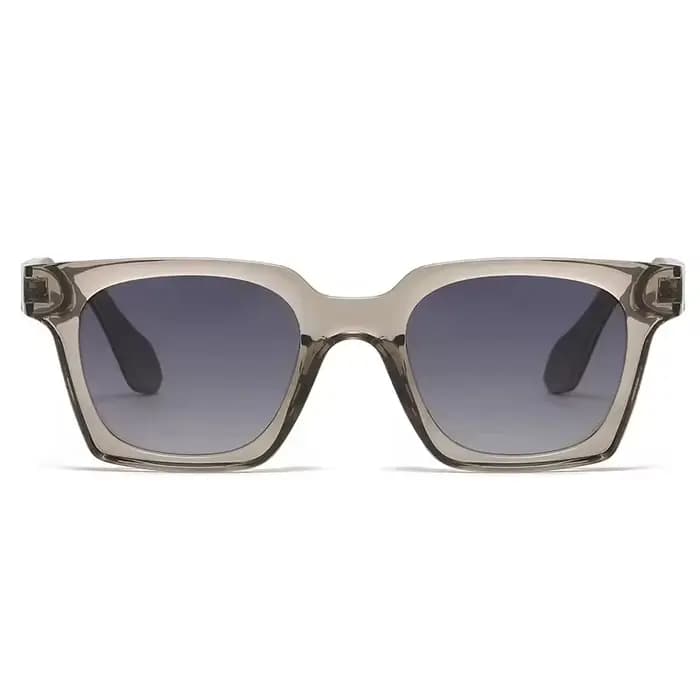 Lunettes de soleil PC tortue à la mode avec branches en bois pour hommes et femmes