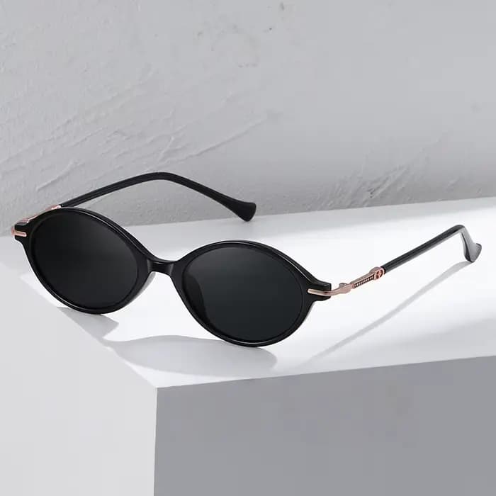 Lzabella 2026 – Lunettes de soleil rétro tendance en TR90