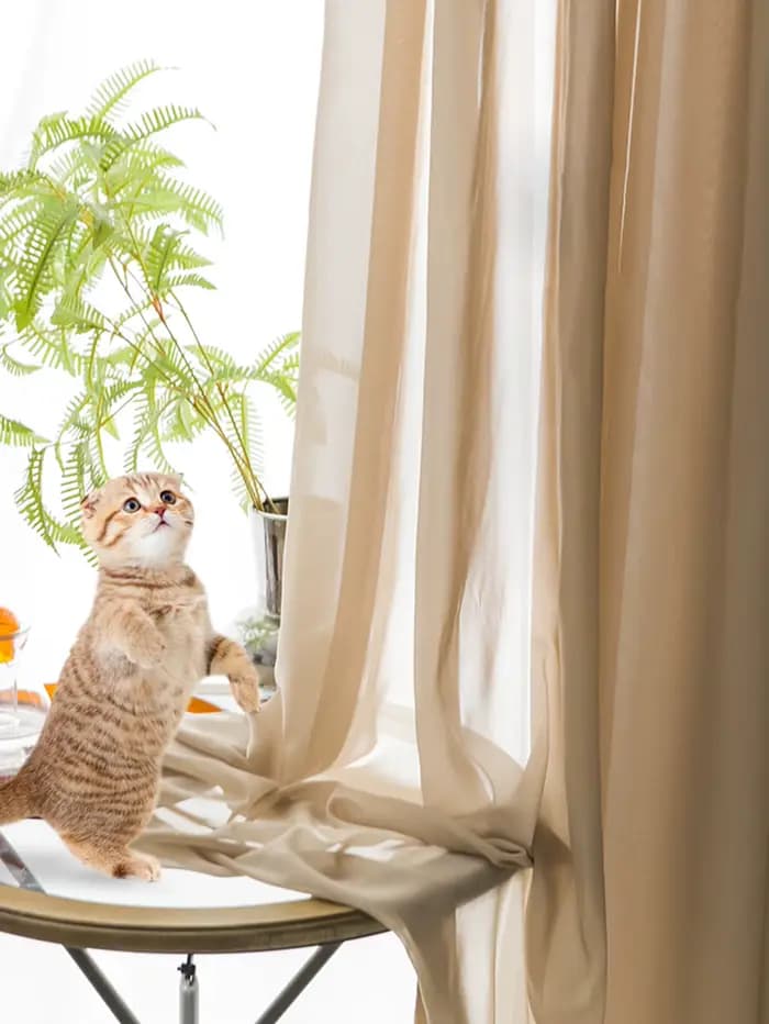 Rideau perpétuel anti-poussière pour salon, chambre à coucher, balcon et fenêtre, 1 pièce