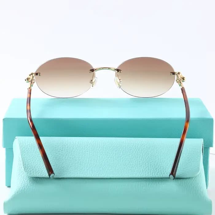 Nouvelles lunettes de soleil en acétate pour femmes