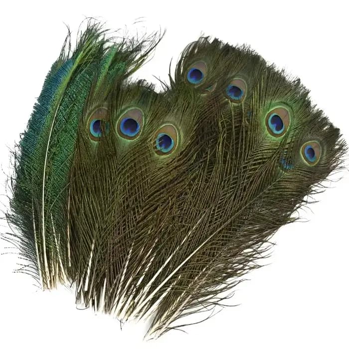Plumes de paon naturelles réelles, pour Vases de décoration, artisanat, longues et grandes plumes, décoration de maison, Vase artisanal, accessoires de couture