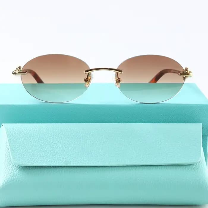 Nouvelles lunettes de soleil en acétate pour femmes