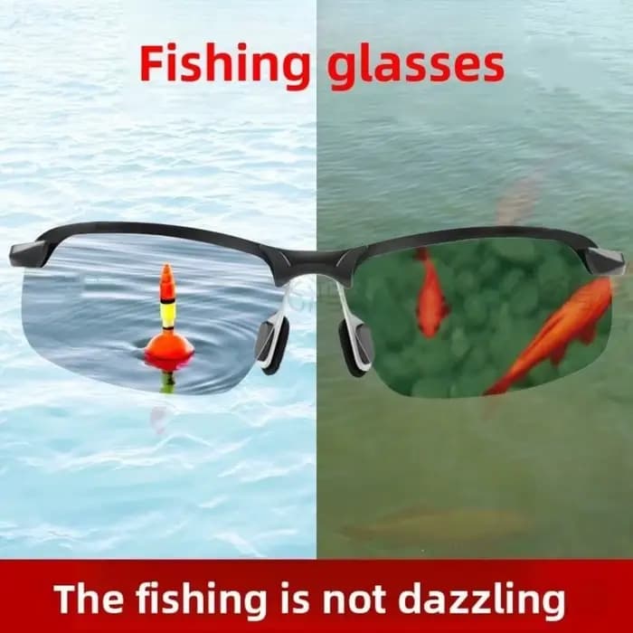 Lunettes polarisées