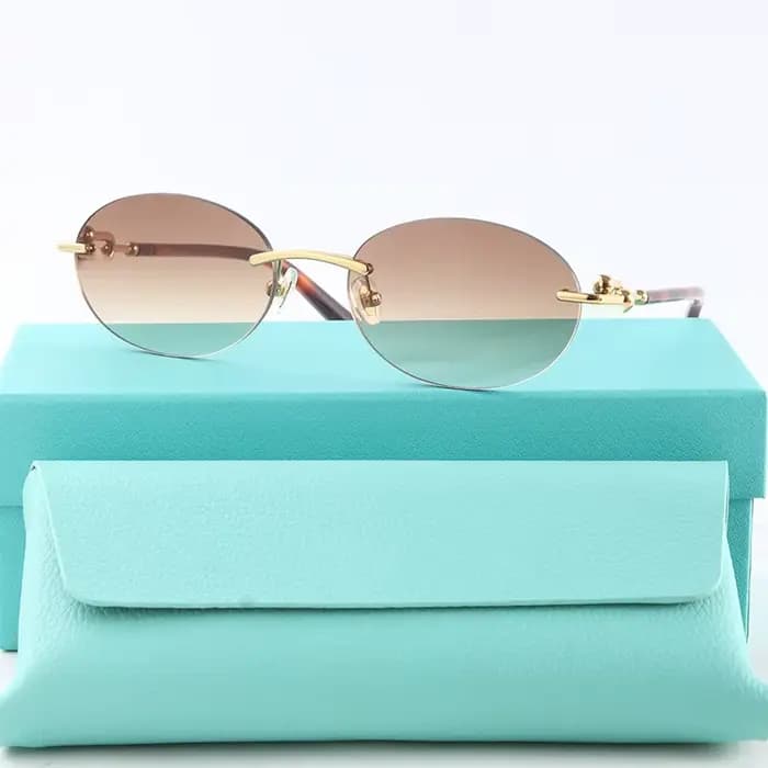 Nouvelles lunettes de soleil en acétate pour femmes