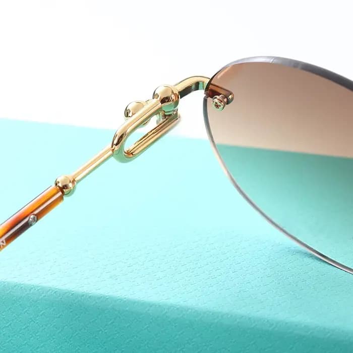 Nouvelles lunettes de soleil en acétate pour femmes