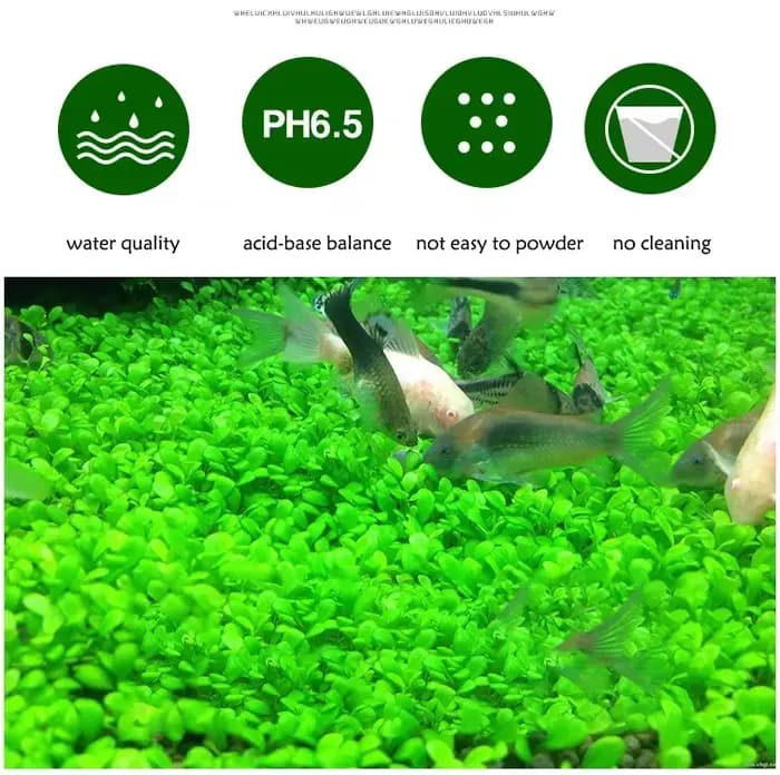 Sable d'Aquarium Astronomique Nutriment Sol Noir Eau de Boue Noire Précieuse pour Poisson