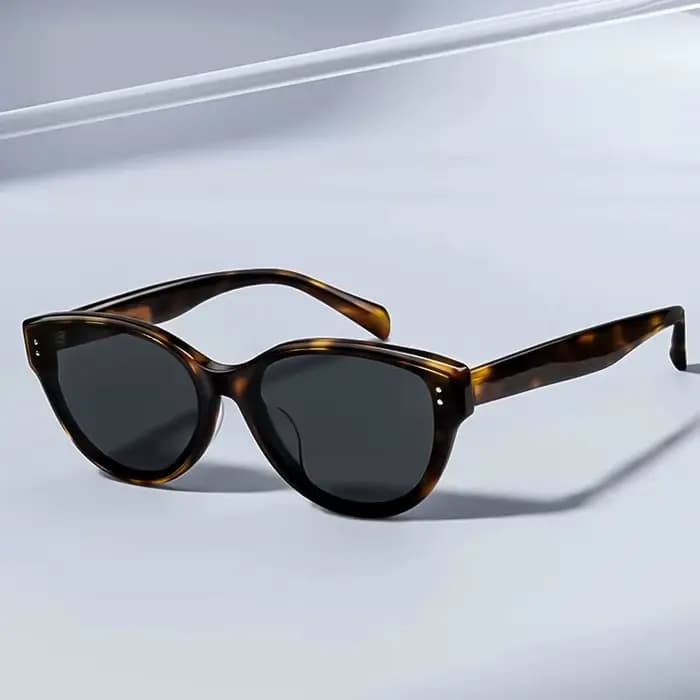 Lunettes de soleil œil-de-chat grandes et chics 2026 pour femmes et hommes