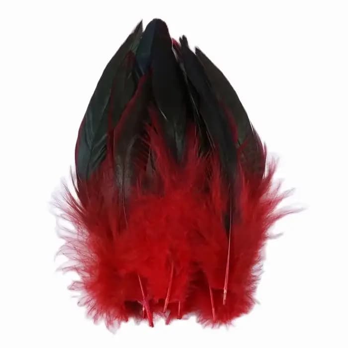 Plumes de poulet naturelles de qualité supérieure, 15-20cm, douces, moelleuses et vibrantes, pour br