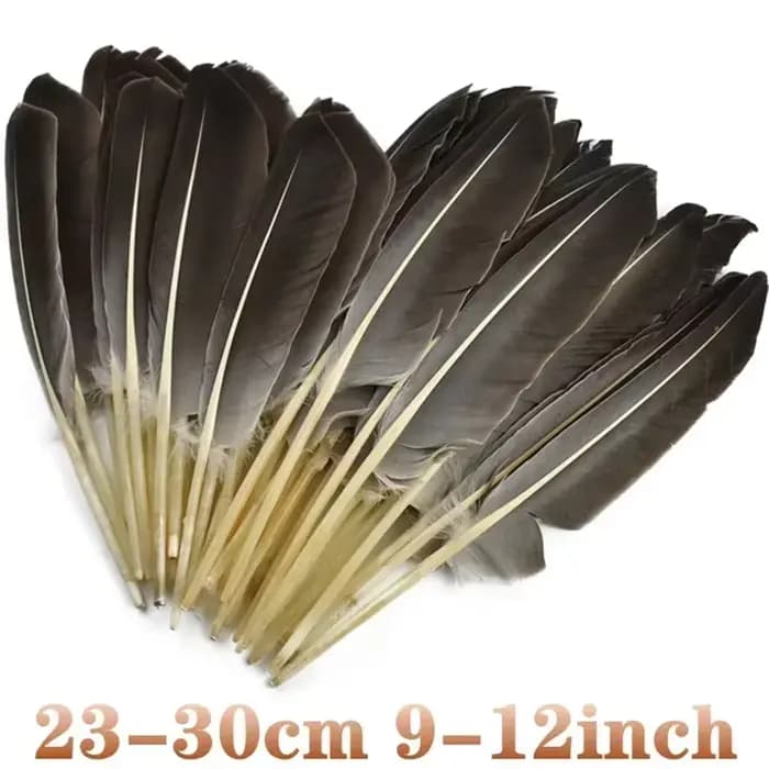 10 Plumes Naturelles de Dinde, Plumes Décoratives d'Aile de Canard, Plumes Artisanales pour Chapeaux