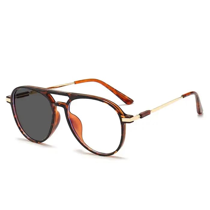 Lunettes photochromiques à Double pont pour hommes et femmes, verres de lecture à couleur changeante
