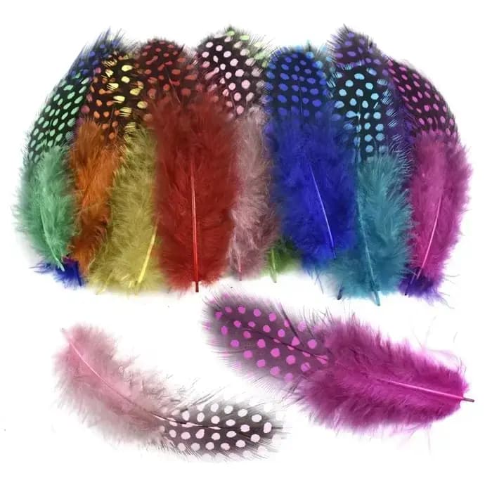 Plumes de dindes de Guinée naturelles pour artisanat, décoratives, attrape-rêves, décoration, création de bijoux DIY, accessoires de broderie et de couture