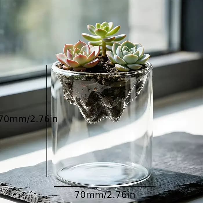 Terrarium en verre pour vues sur les montagnes, jardinière à mousse, récipient pour plantes hydroponiques, tasse multifonctionnelle, décoration de la maison, super cadeau