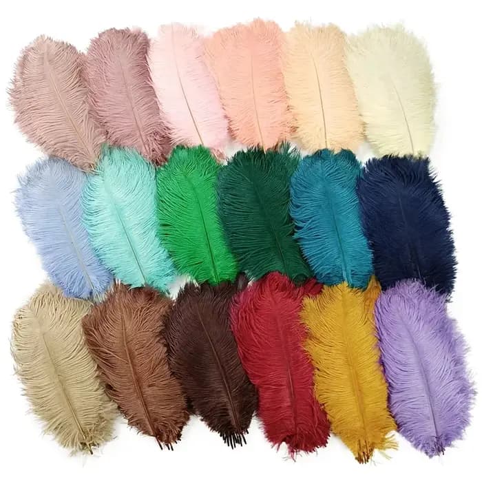 Plumes d'autruche colorées pour artisanat, décoration de mariage, accessoires artisanaux, centres de Table, décor de Plumes de carnaval, 10 pièces/lot