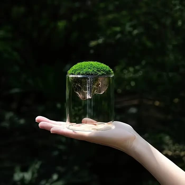 Terrarium en verre pour vues sur les montagnes, jardinière à mousse, récipient pour plantes hydroponiques, tasse multifonctionnelle, décoration de la maison, super cadeau, 1 pièce