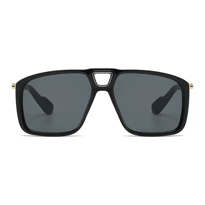 Lunettes de soleil rétro à double sorgho pour hommes