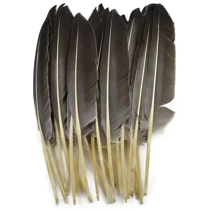 10 Plumes Naturelles de Dinde, Plumes Décoratives d'Aile de Canard, Plumes Artisanales pour Chapeaux, Vases, Aigle, Carnaval, Accessoires d'Artisanat