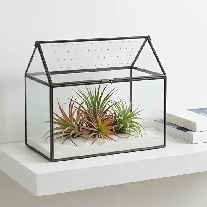 Boîte terrarium en verre pour exposition plantes, conception en verre transparent, couvercle à ouverture supérieure, 10,24