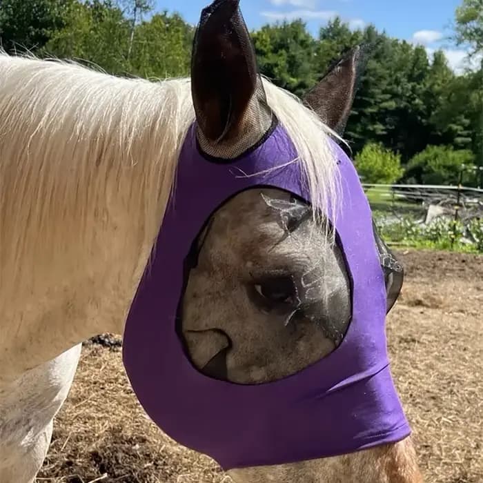  Masque anti-mouche de cheval de Protection UV