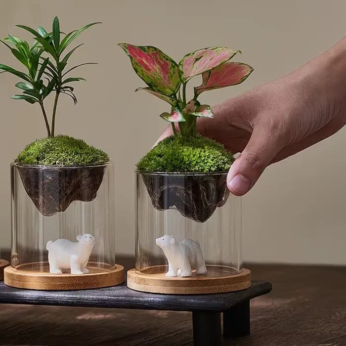 Terrarium en verre pour vues sur les montagnes, jardinière à mousse, récipient pour plantes hydroponiques, tasse multifonctionnelle, décoration de la maison, super cadeau