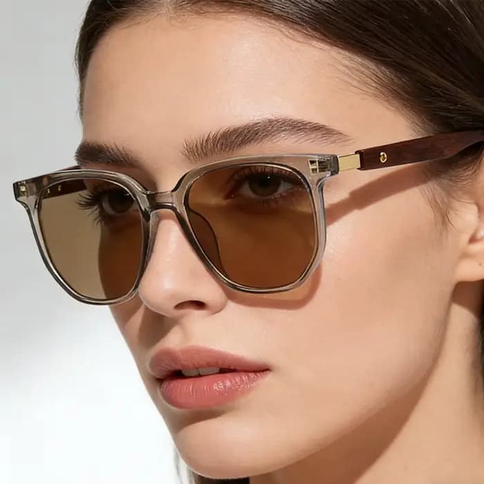 Lunettes de soleil classiques marron