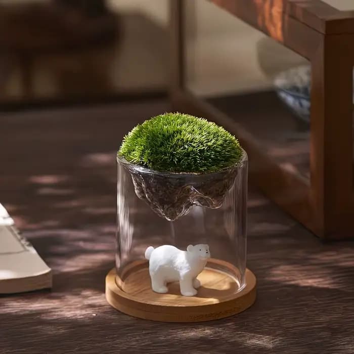 Terrarium en verre pour vues sur les montagnes, jardinière à mousse, récipient pour plantes hydroponiques, tasse multifonctionnelle, décoration de la maison, super cadeau, 1 pièce