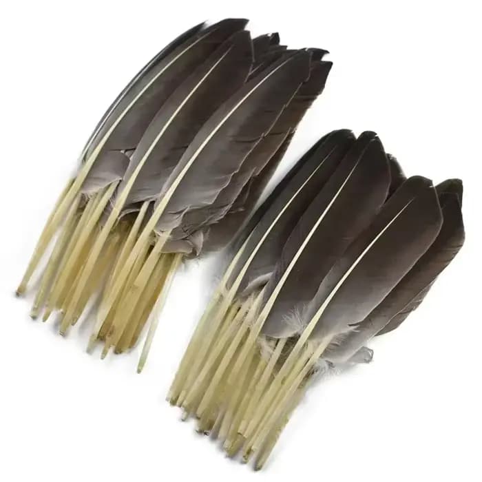 10 Plumes Naturelles de Dinde, Plumes Décoratives d'Aile de Canard, Plumes Artisanales pour Chapeaux, Vases, Aigle, Carnaval, Accessoires d'Artisanat