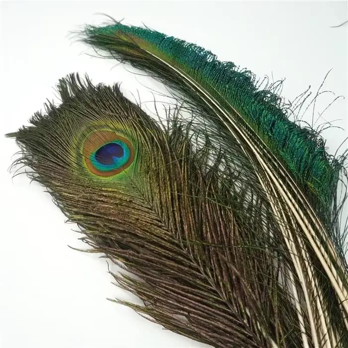 Plumes de paon naturelles réelles, pour Vases de décoration, artisanat, longues et grandes plumes, décoration de maison, Vase artisanal, accessoires de couture