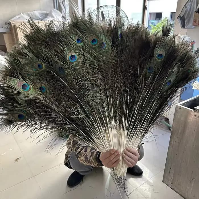 Plumes de paon naturelles pour artisanat DIY, décoration de vase, décoration de la maison, décoration de mariage, fête, Halloween, Noël, costume, performance, art DIY