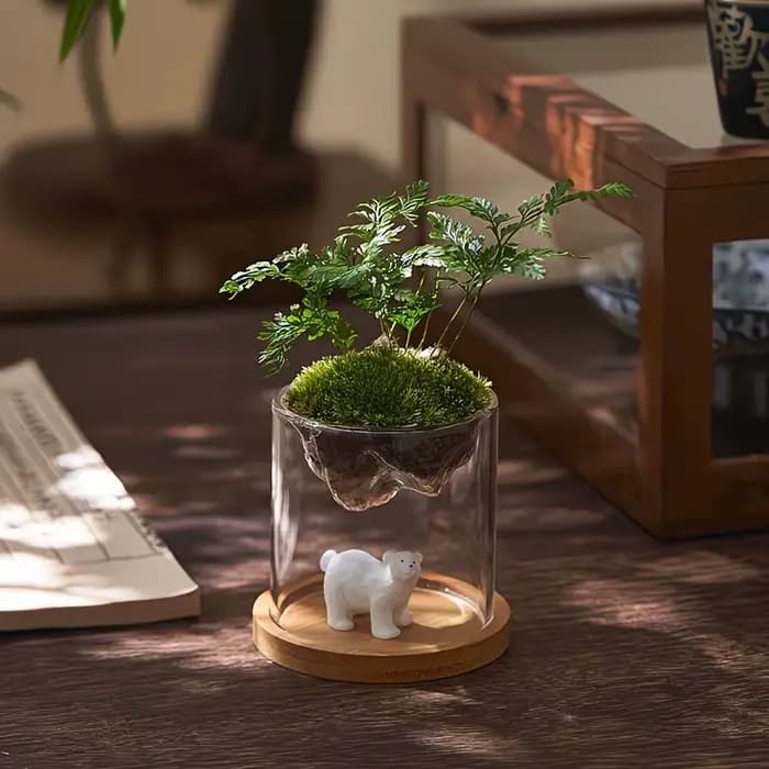 Terrarium en verre pour vues sur les montagnes, jardinière à mousse, récipient pour plantes hydroponiques, tasse multifonctionnelle, décoration de la maison, super cadeau