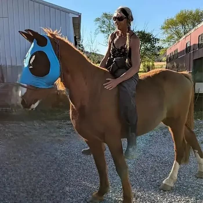  Masque anti-mouche de cheval de Protection UV