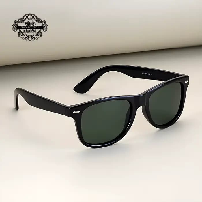 Lunettes de soleil polarisées TR pour hommes et femmes