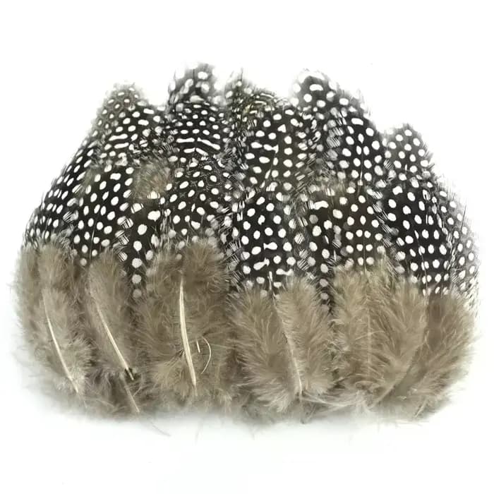 Plumes de dindes de Guinée naturelles pour artisanat, décoratives, attrape-rêves, décoration, création de bijoux DIY, accessoires de broderie et de couture
