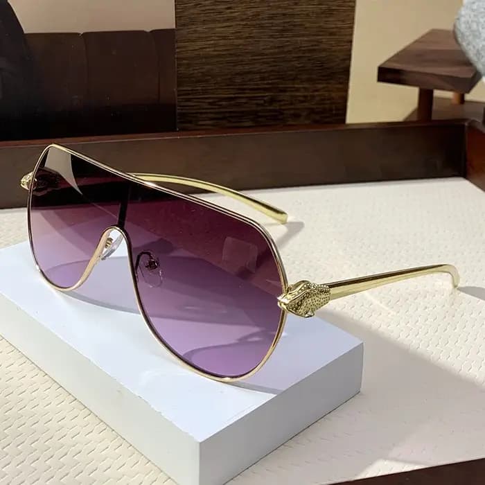 Lunettes de soleil Design de luxe pour hommes