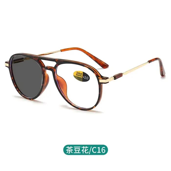 Lunettes photochromiques à Double pont pour hommes et femmes