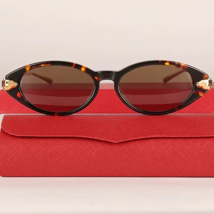 Nouvelles lunettes de soleil œil de chat tendance pour femmes