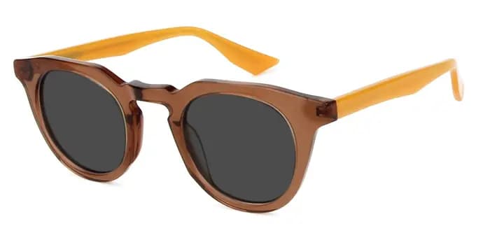 Vintage coquille de tortue lunettes de soleil pour hommes femmes rétro rond
