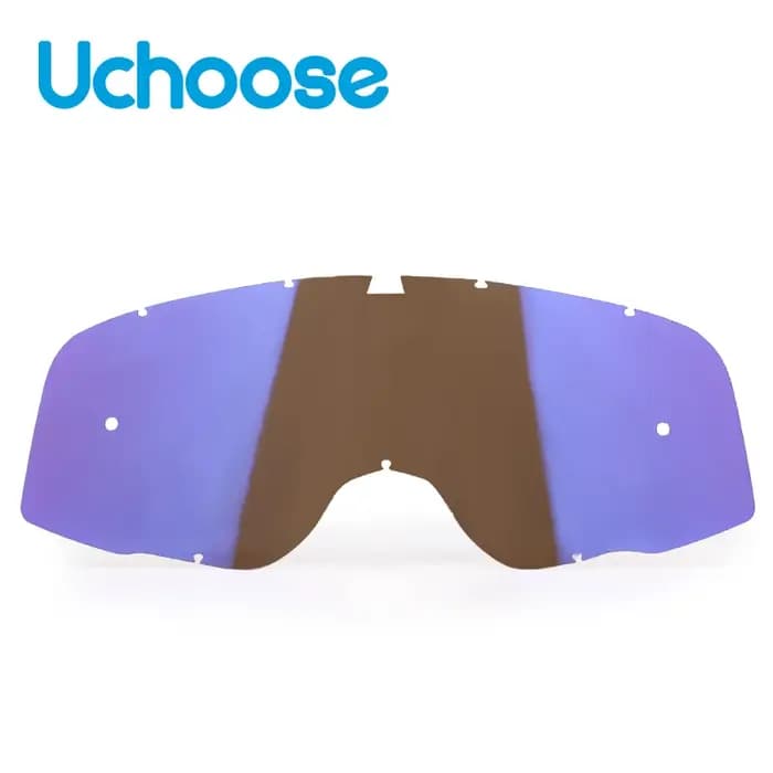 Lunettes d'équitation Vintage