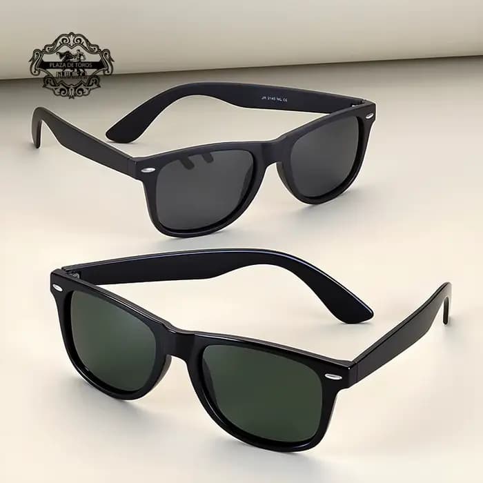 Lunettes de soleil polarisées TR pour hommes et femmes