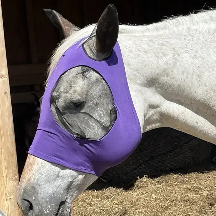  Masque anti-mouche de cheval de Protection UV