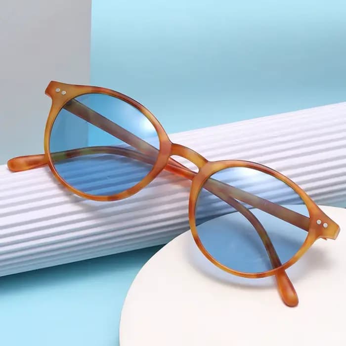 Lunettes de soleil polarisées rondes rétro pour hommes et femmes