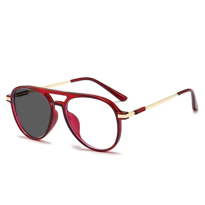 Lunettes photochromiques à Double pont pour hommes et femmes